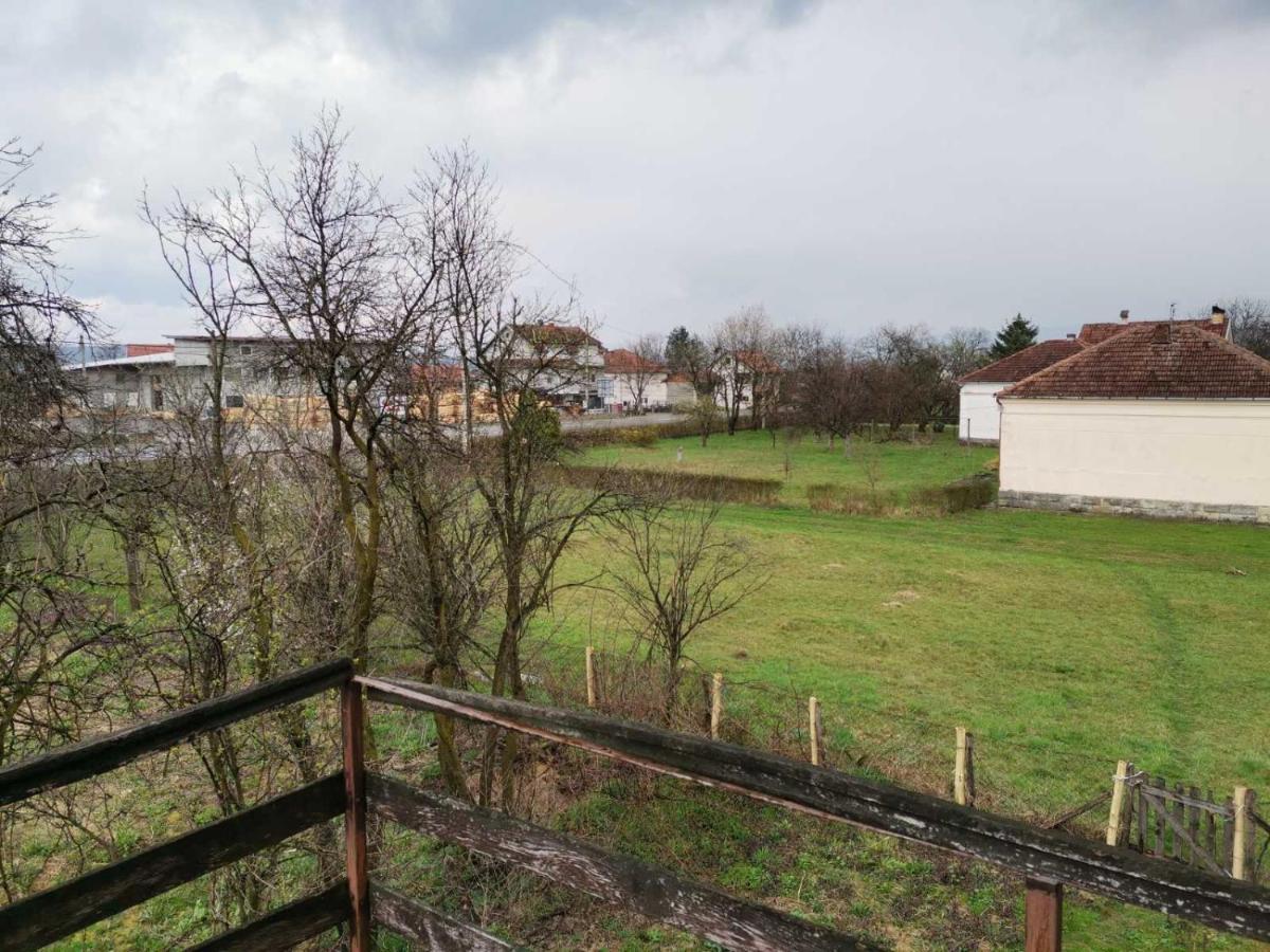 Vila Milica Kraljevo Extérieur photo