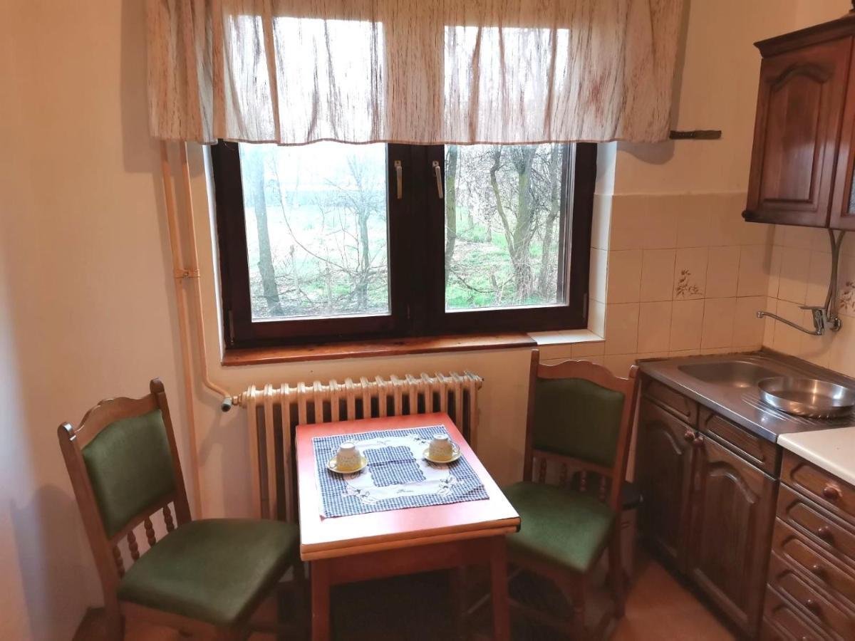 Vila Milica Kraljevo Extérieur photo