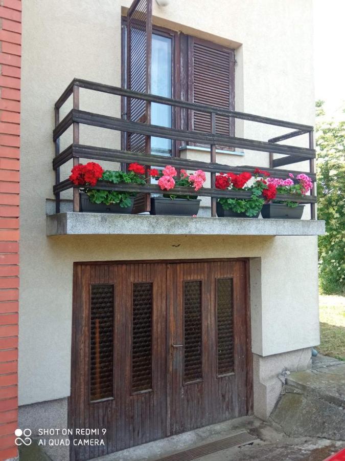 Vila Milica Kraljevo Extérieur photo